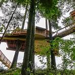 Lifted Lodge Treehouse4