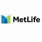 pnb metlife policy status2