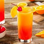 cocktail de frutas2