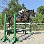 ben lustig toronto ontario horse riding4