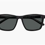 bread box polarized glass sunglasses2