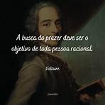 voltaire frases em português5