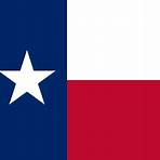 saint leopold iii of texas flag for sale3