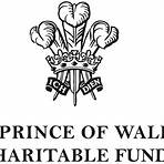 the prince's trust charity3