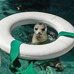 when was the marine mammal center founded in the united states in 1970 one3