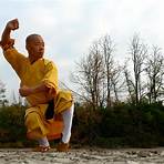 melhores técnicas de kung fu shaolin2