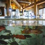 vancouver aquarium reviews consumer reports4