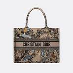 christian dior bag5