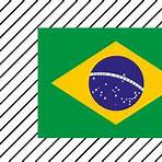 bandeira do brasil para pintar1