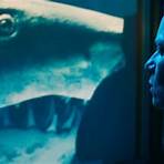 Year of the Shark Film1