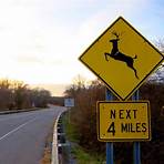 What should I do if I see a deer crossing sign?3