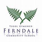 Ferndale Community School1