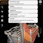 corpo humano anatomia completa 3d4