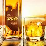 wild turkey american honey4