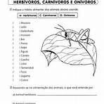 atividade sobre animais carnívoros herbívoros e onívoros4