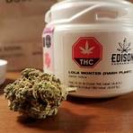 why are there no reviews for canadian strain companies to avoid2