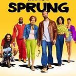 Sprung (TV series)2
