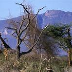 Shaba National Reserve4