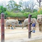 東京上野動物園1
