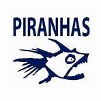 types of piranhas3
