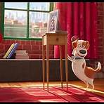 the secret life of pets health care system4