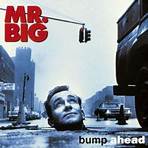 Mr. Big (American band)4