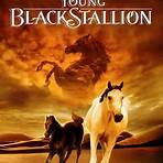 best movies about horses5