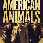where can i watch american animals movie poster2