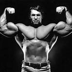 arnold schwarzenegger wallpaper hd2