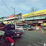 what is davao city known for what food type of chicken called2