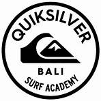 quiksilver logo2