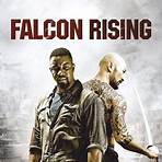 Falcon Rising1