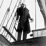 Nosferatu: A Symphony of Horror Film1