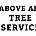 suffolk county tree service2