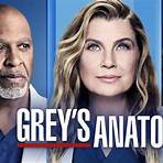 grey's anatomy krankenhaus1