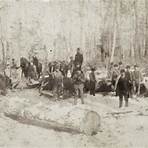 Minnesota Logging Company4