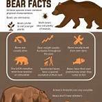 Brown bear wikipedia5