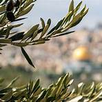mount of olives significance4