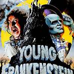 where to watch young frankenstein from mel brooks1