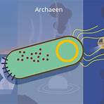 Archaea wikipedia1