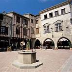 Castelnau-de-Montmiral, Francia4