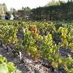 what are the main wine regions of france with cities2