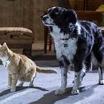Cats & Dogs 3 – Pfoten vereint! Film1