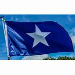 saint leopold iii of texas flag for sale1