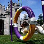 what channel westminster dog show 2021 televised2