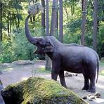 asian elephant wikipedia4