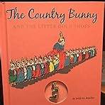 The Country Bunny and the Little Gold Shoes3