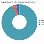 brooklyn college online courses5
