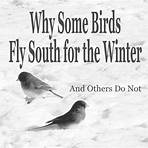 These Birds Don't Fly South in the Winter3