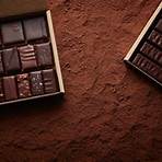 alain ducasse chocolatier4